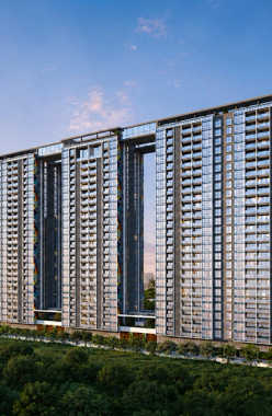 Dream Delmont