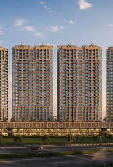Jhamtani Ace Ayodhya