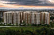 Prestige Evergreen