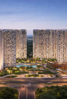Purva Northern Lights