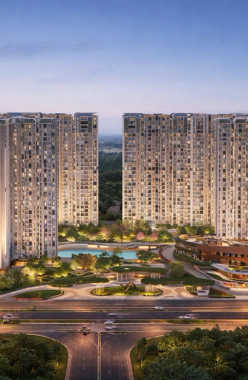 Purva Northern Lights