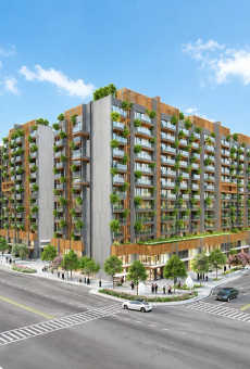 Adani 9 PBR