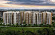 Prestige Evergreen