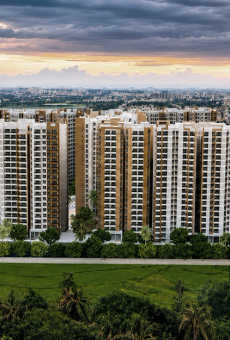 Prestige Evergreen