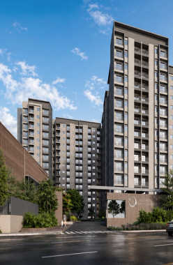 Goyal Orchid Salisbury