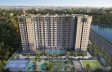Century Liva