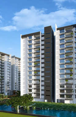 SNN Estates Felicity