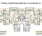 M3M The Cullinan Sector 94 - Typical Floor Plan