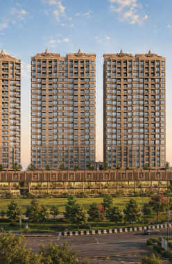 Jhamtani Ace Ayodhya