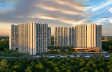 Purva Northern Lights