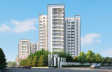 Prestige Pine Forest