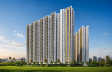 Provident Palmvista