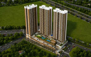 Dosti Tulip - Elevation