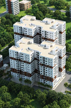 Radiance Mandarin