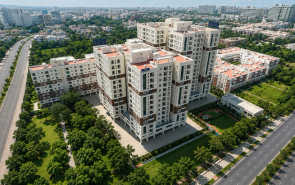 Radiance Mandarin - Elevation