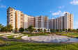 Century Breeze