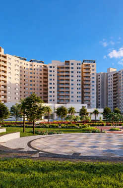 Century Breeze