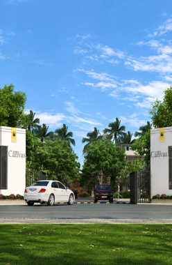 Sobha Canvas