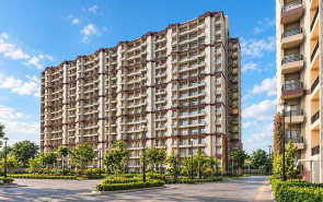 Pardos Okas Residency - Elevation