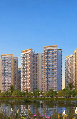 Purva Silversands