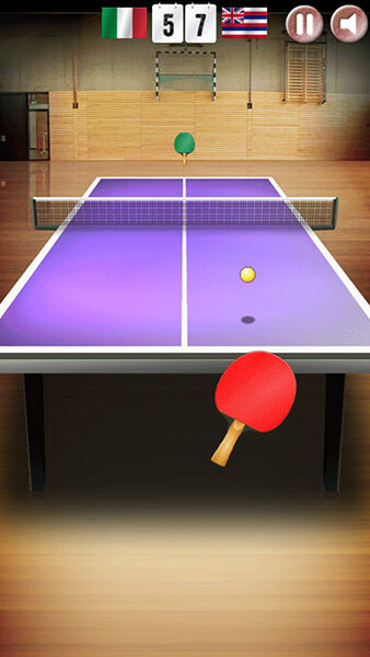 Ping Pong 3D Online