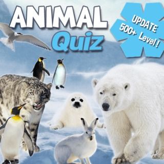 ANIMAIS QUIZ