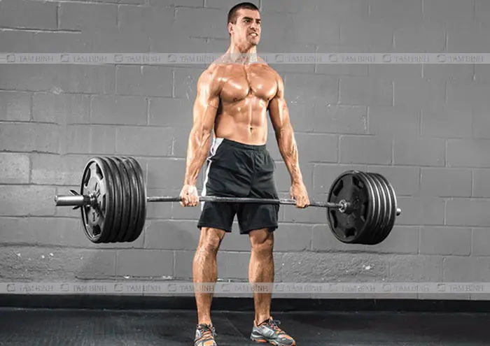 Top 15 Bài Tập Tăng Cường Chức Năng Cơ Bản Dành Cho Mọi Lứa Tuổi