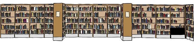 Illustration of bookshelves in a library