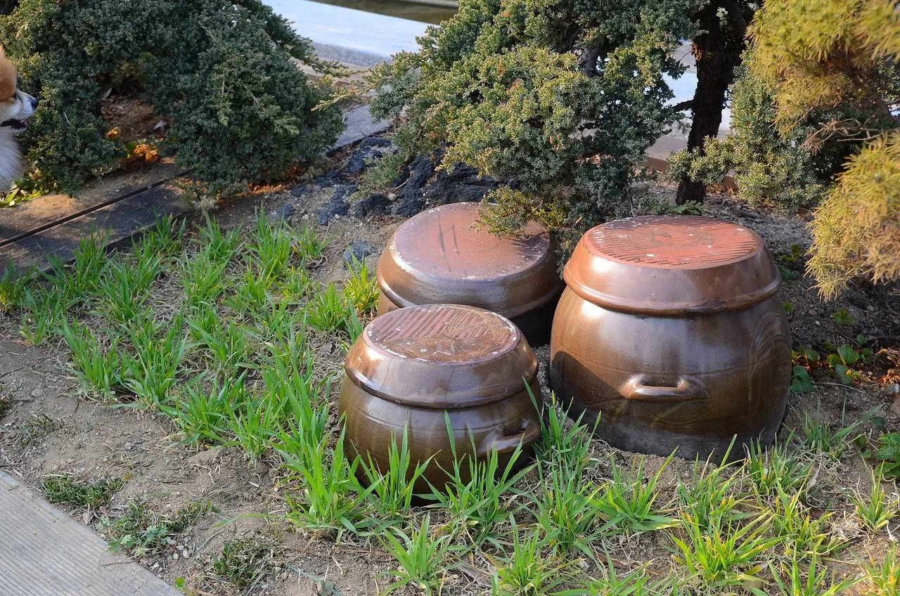 Korean traditional clay pottery to store kimchi, called onggi