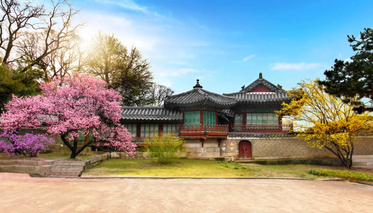 The Scenery Inside Changdeokgung Palace Grounds