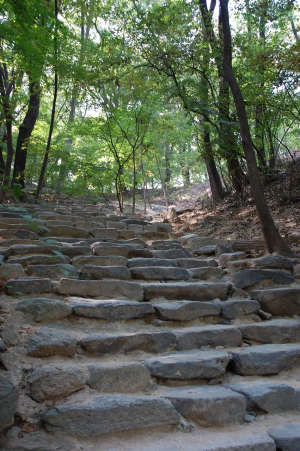  The hillside stairs in the Secret Garden.