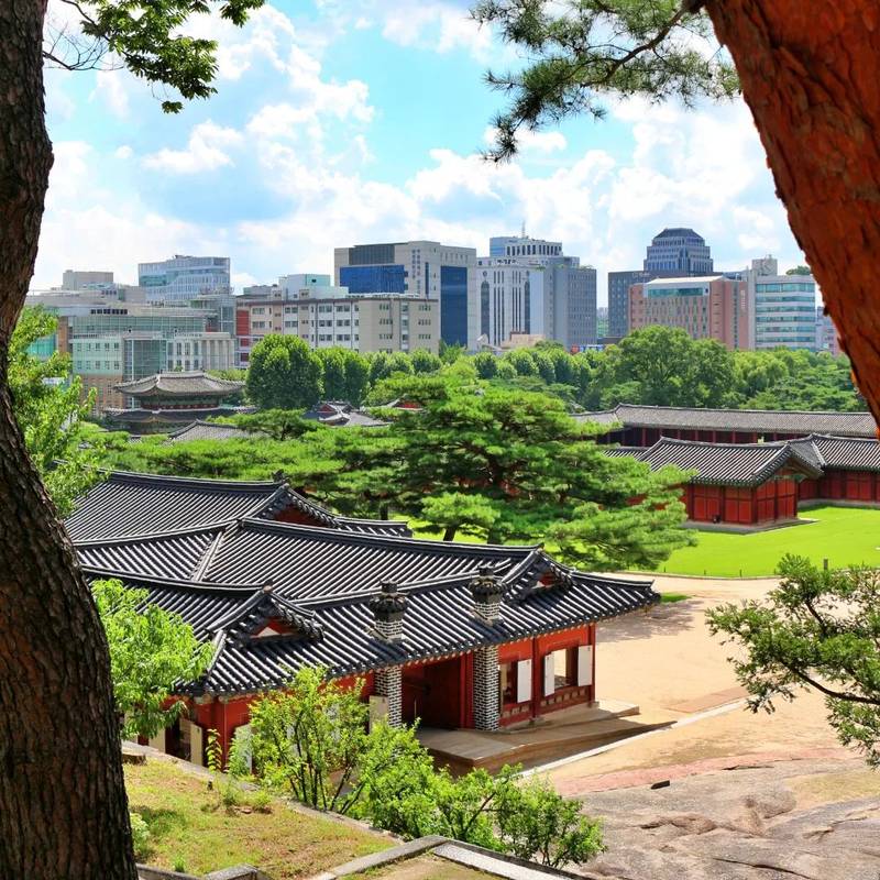 aerial shot of Changgyeonggung Palace