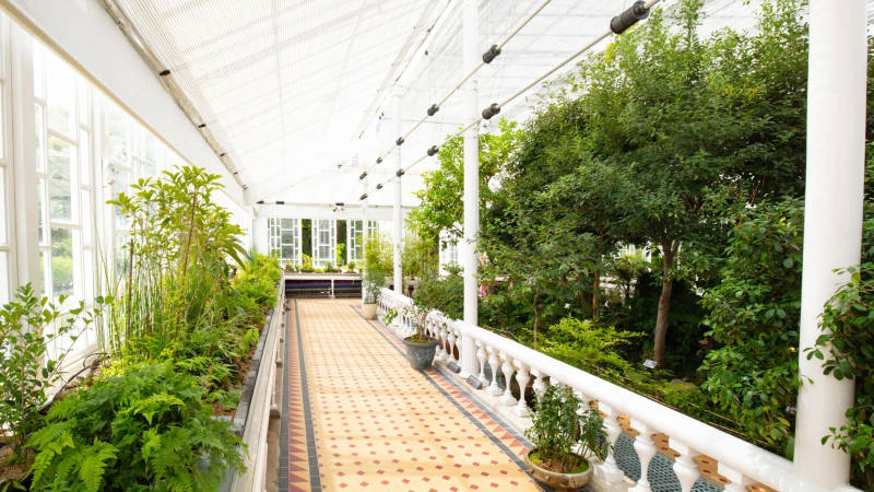 Interior view of the Grand Greenhouse at Changgyeonggung Palace