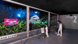 The Observation Deck