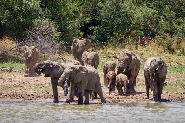 Nature & Wildlife