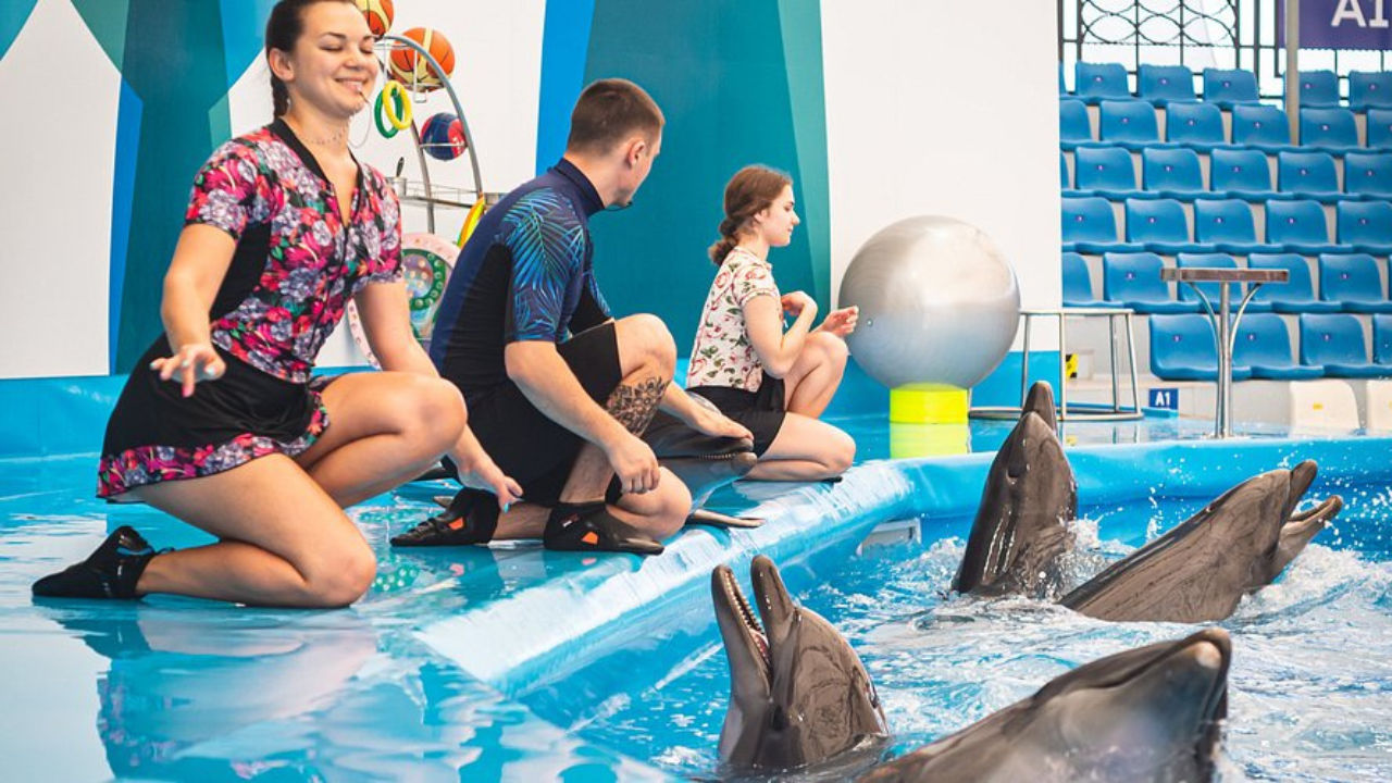 Dolphinarium Pattaya