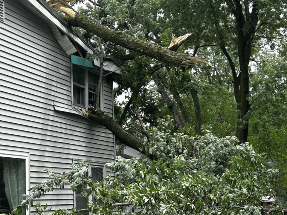 FAQS about Tree Trimming Services in Gakona, AK