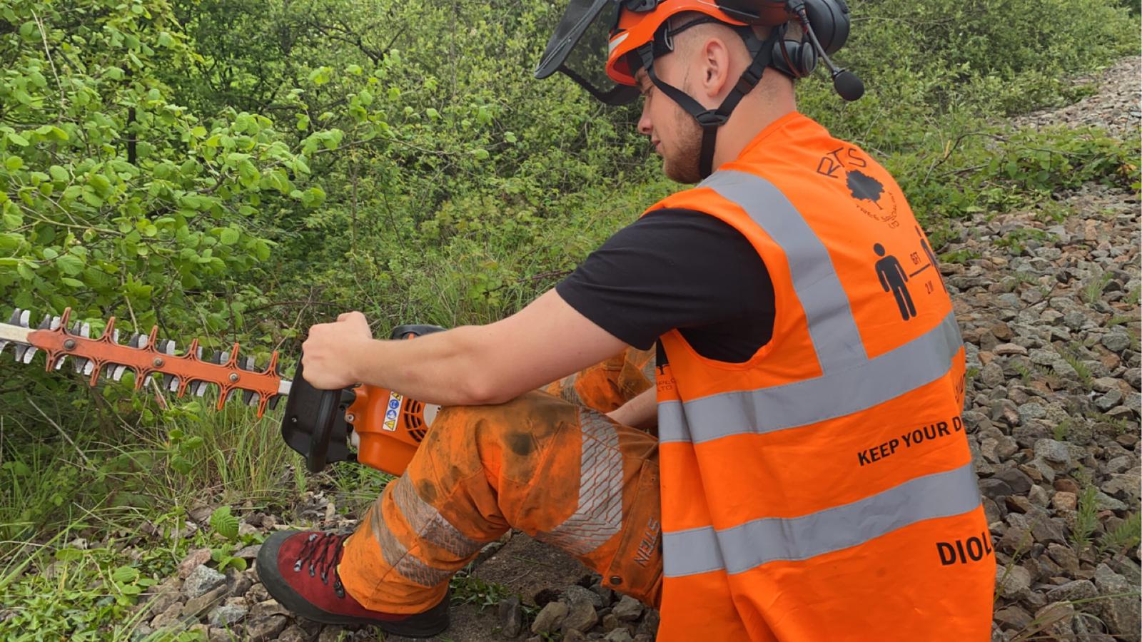 Tree Trimming in Gakona, AK
