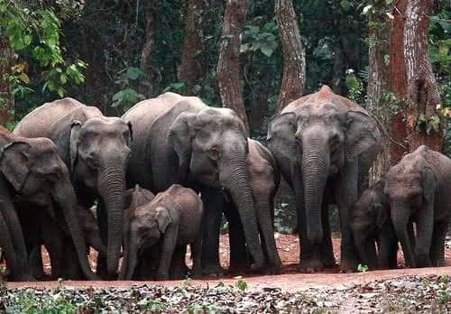 Kuldhia Wildlife sanctuary