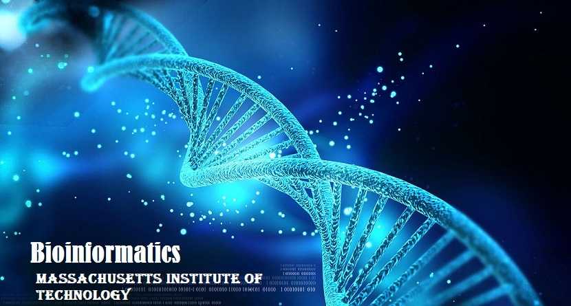 University Rankings, Jobs & Places To Study Bioinformatics Abroad