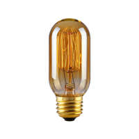 T45-SC13-EDISON-BULB