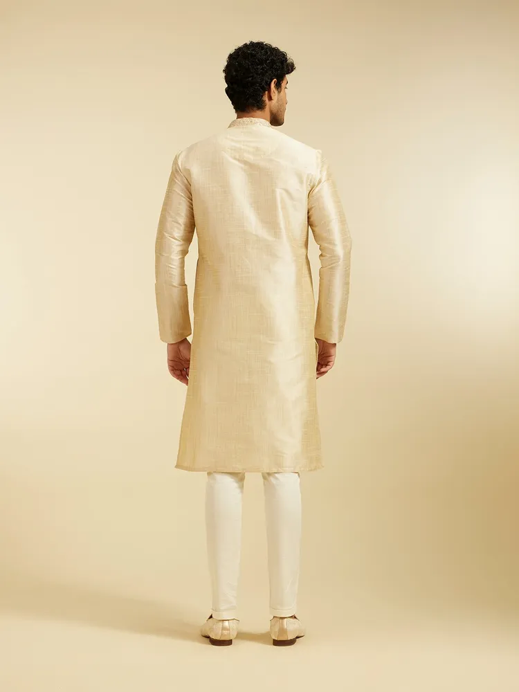 Diwas By Manyavar Pista Green Self Textured Kurta with Embroidered Placket for Men
