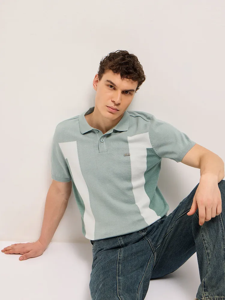 Multicolor Regular Fit Colorblock Flat Knit Polo with Metal Logo