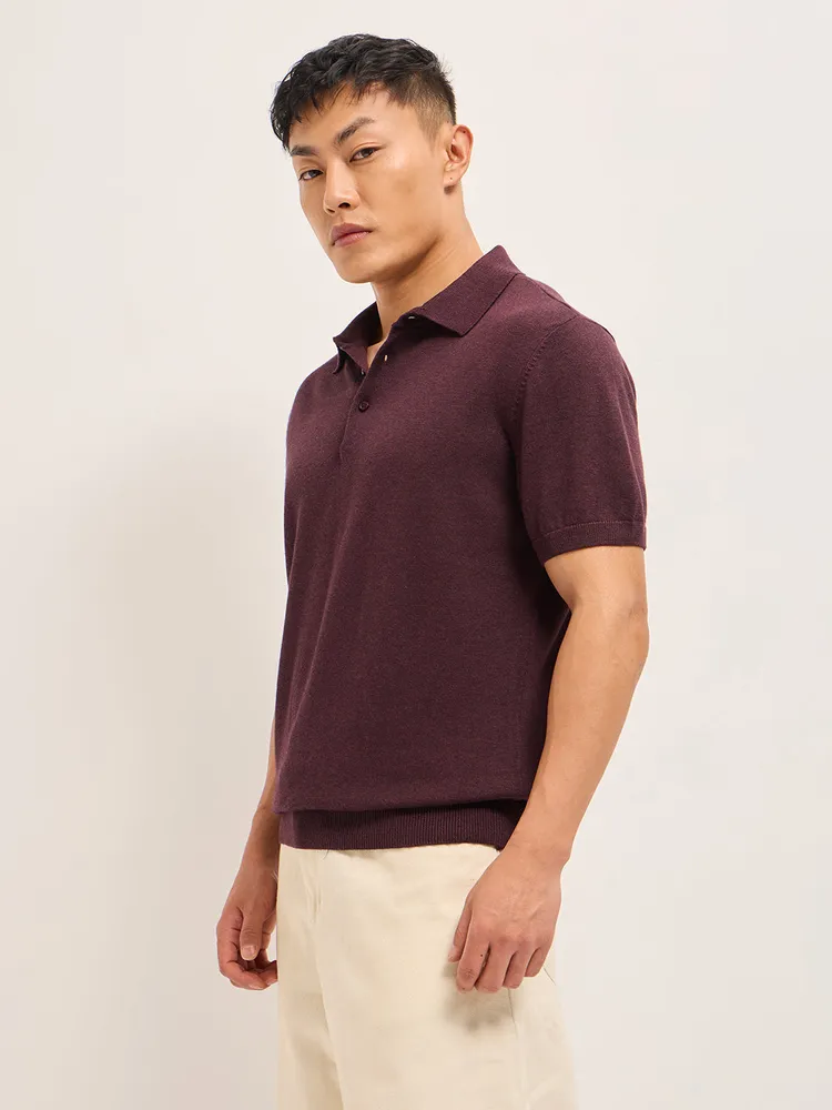 Maroon Textured Knit Solid Regular Fit Polo