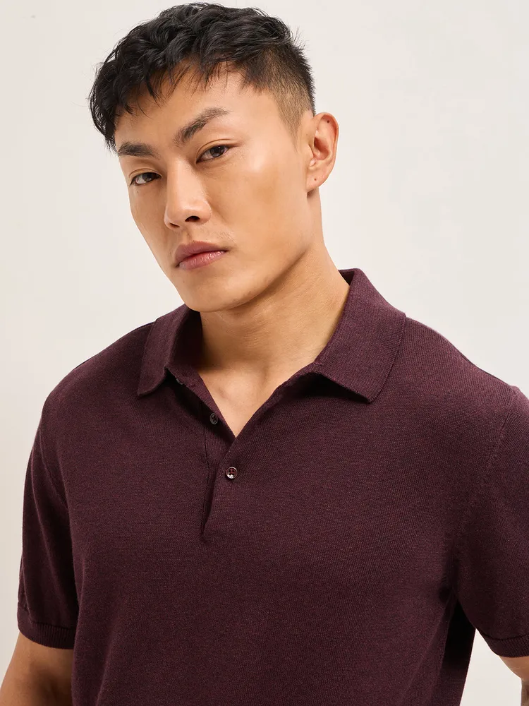 Maroon Textured Knit Solid Regular Fit Polo