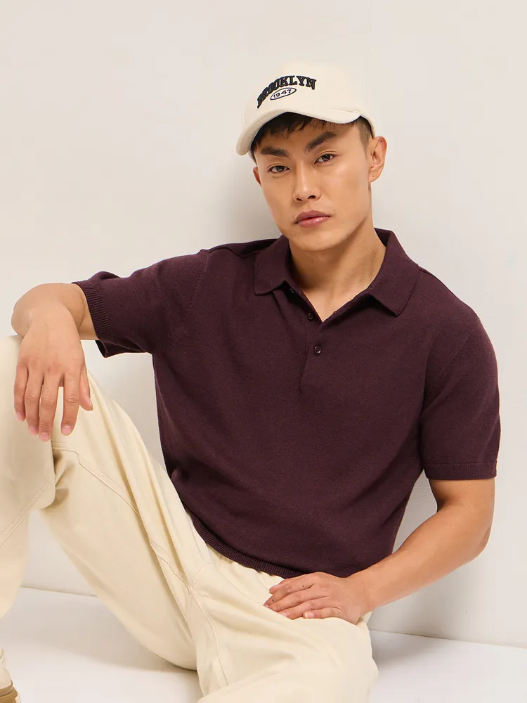 Maroon Textured Knit Solid Regular Fit Polo