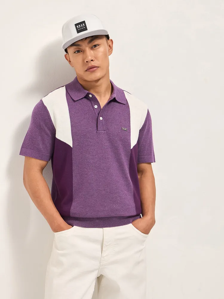 Multicolor Colorblock Flat Knit Polo with Regular Fit and Metal Logo Detail