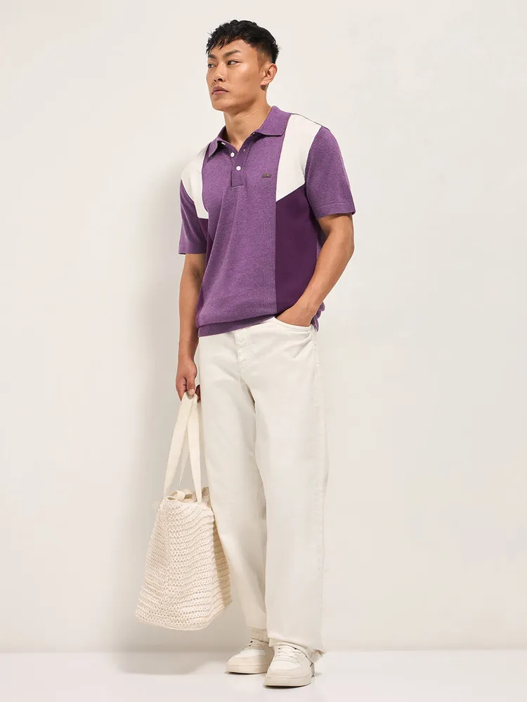 Multicolor Colorblock Flat Knit Polo with Regular Fit and Metal Logo Detail