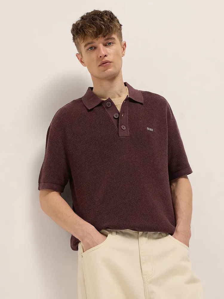 Maroon Textured Knit Relaxed Fit Polo with Button Placket