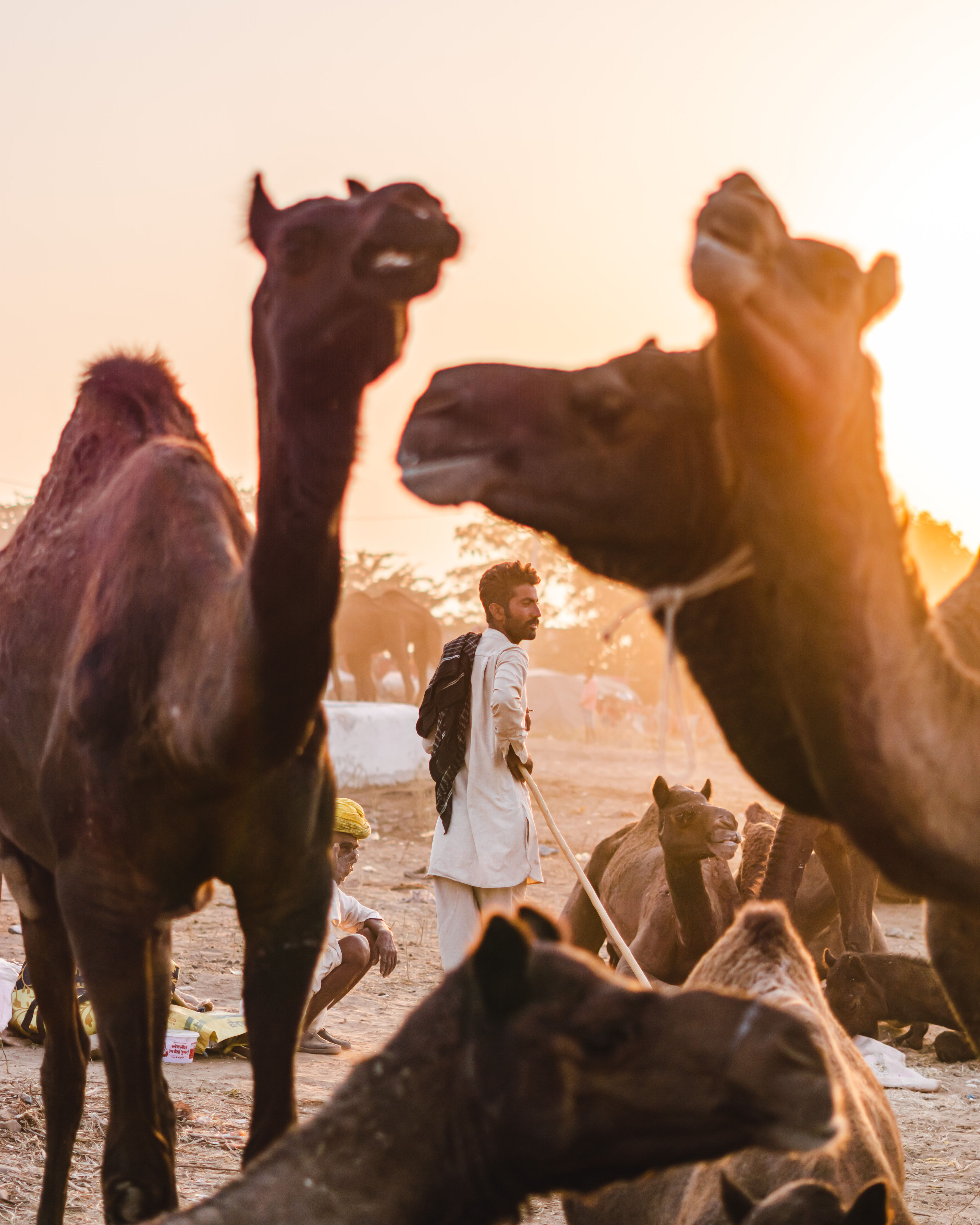 The Tales from Pushkar #10